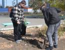 День древонасаждения